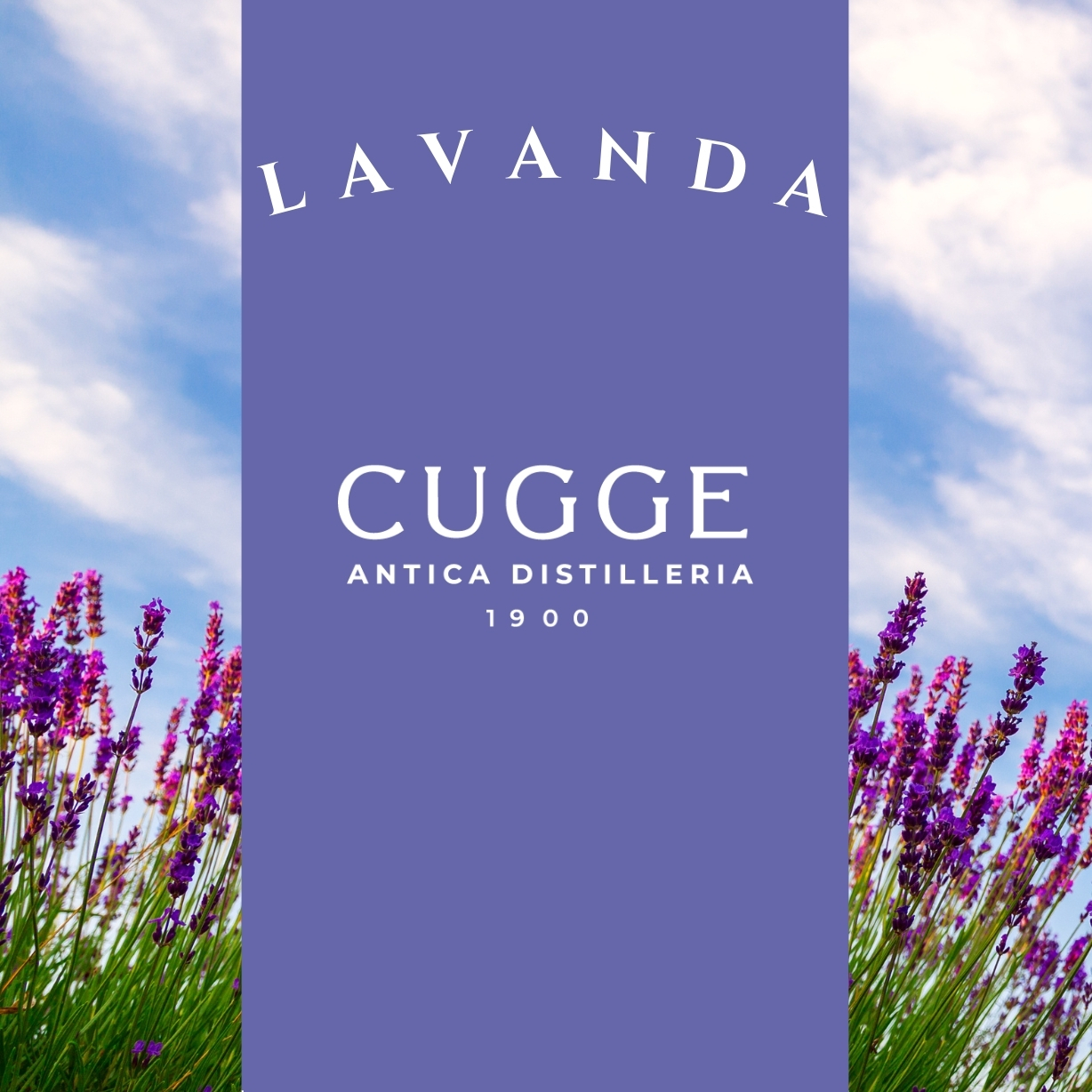 Profumatore a bastoncini | Lavanda - immagine 5